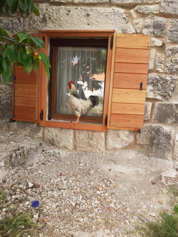 Patakun Holiday Home For 5, With Heated Pool Lecevica المظهر الخارجي الصورة